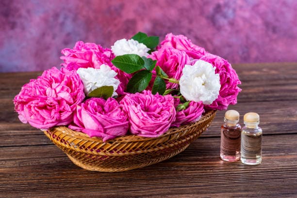 تصویر 1 از گل محمدی انتخاب برتر برای تولید عطر دست ساز گیاهی خانگی